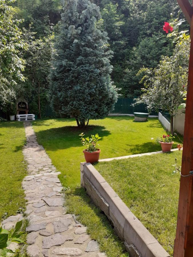 Pension Calborean Talmacel Exterior photo