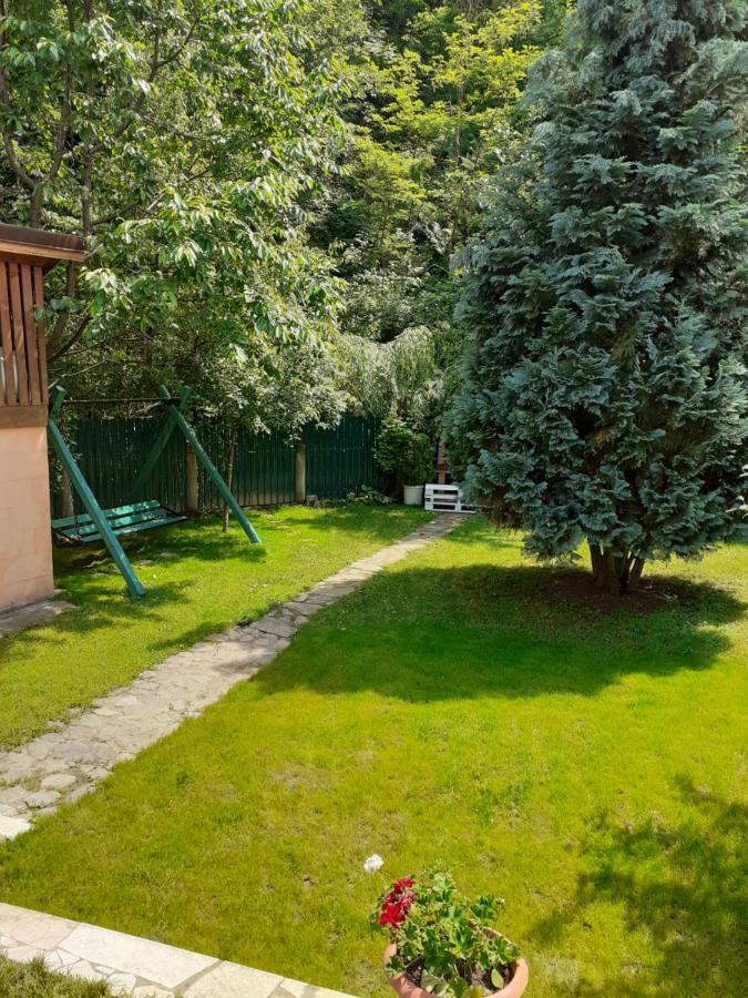 Pension Calborean Talmacel Exterior photo